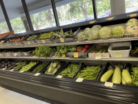 RAJDHANI INDIAN GROCERY STORE TALLAHASSEE FLORIDA 