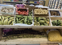 NEW ASIAN GROCERY PENSACOLA 