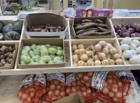 NEW ASIAN GROCERY PENSACOLA 